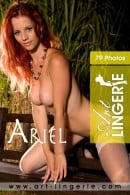 Ariel : Ariel A from Art-Lingerie, 06 May 2009